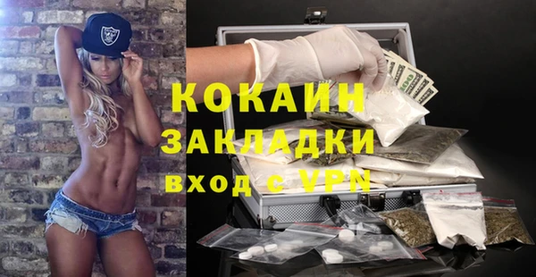 герыч Пересвет