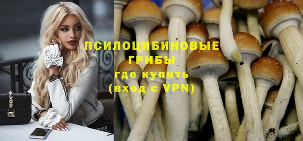 спайс Переславль-Залесский
