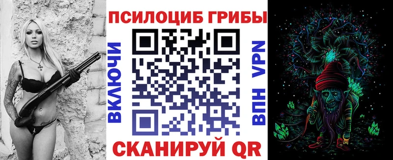 Галлюциногенные грибы Psilocybine cubensis  магазин    ссылка на мегу ссылки  Стародуб 
